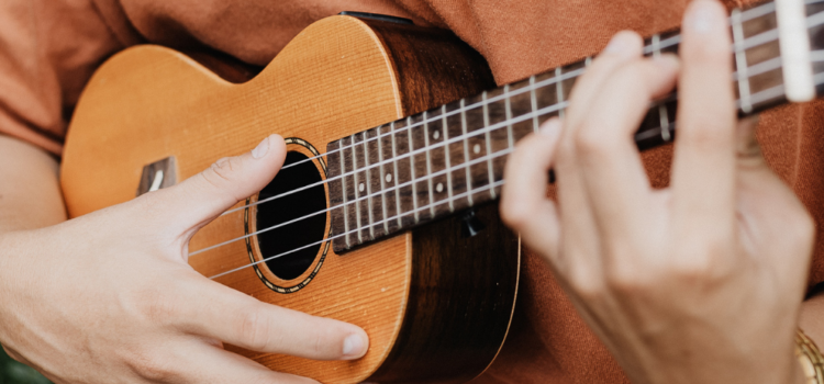 liedermacherinnenliga