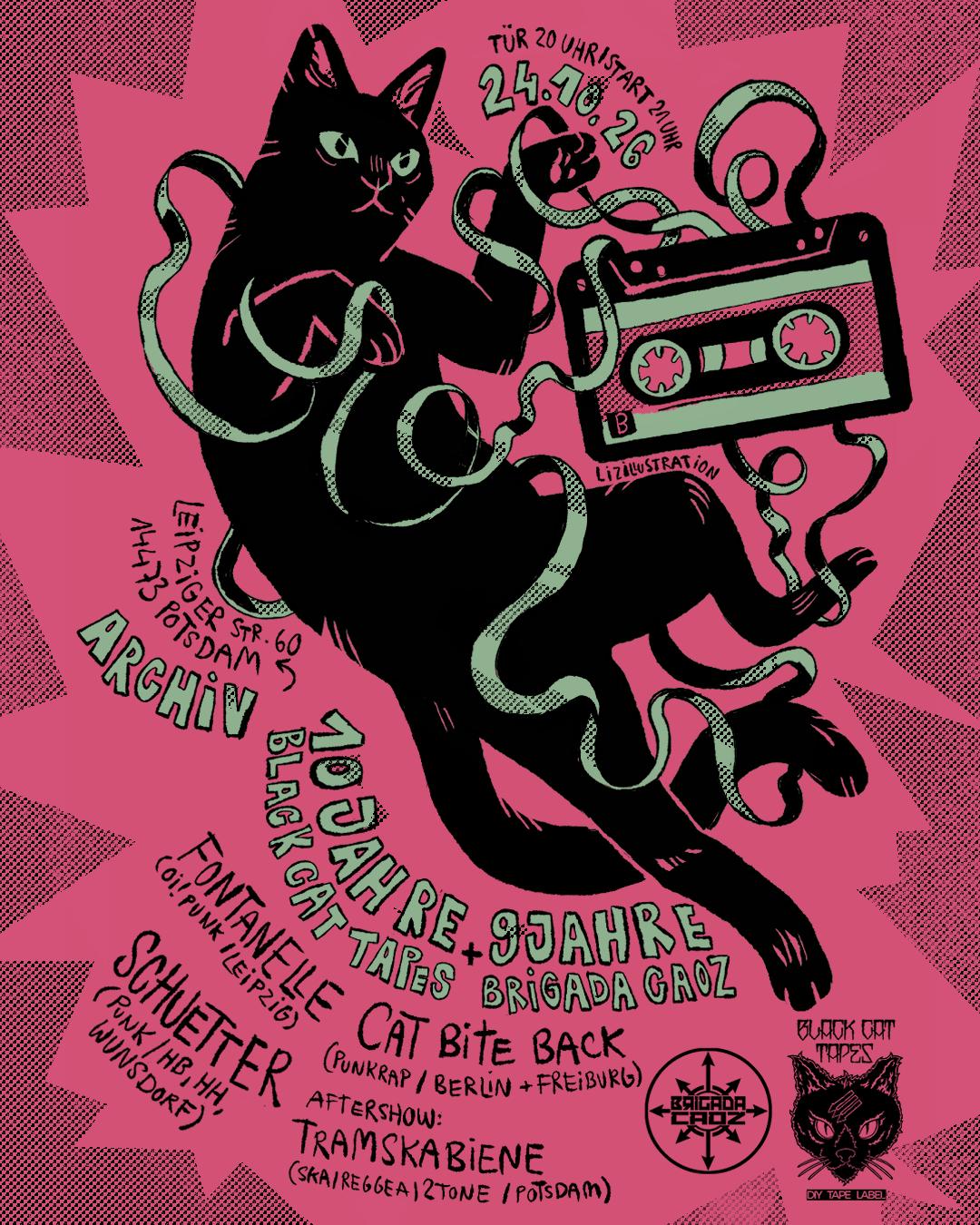 Eine schwarze Katze hat sich im Magnetband einer Kassette verheddert